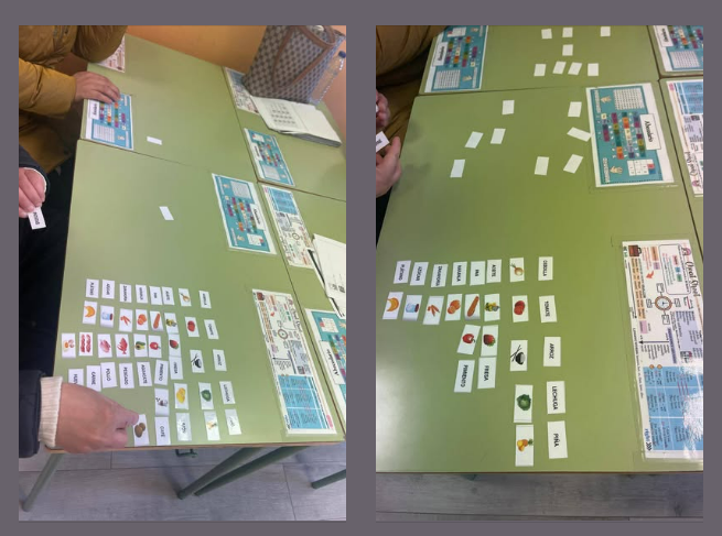 Alfabetización alimentos