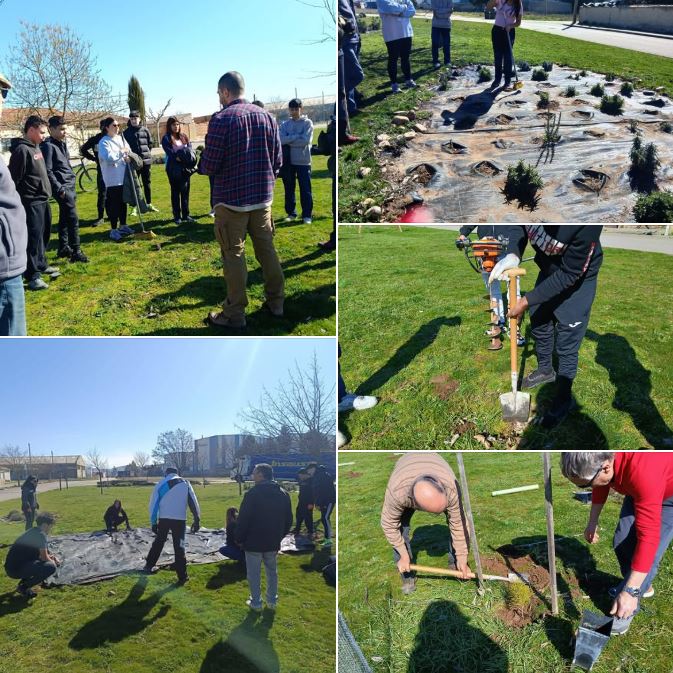 Prepación y malla antihierba 2026