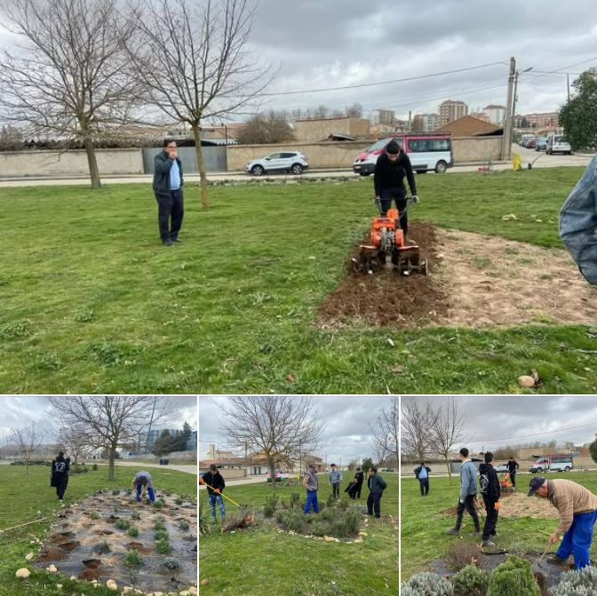 Preparación terreno 2026