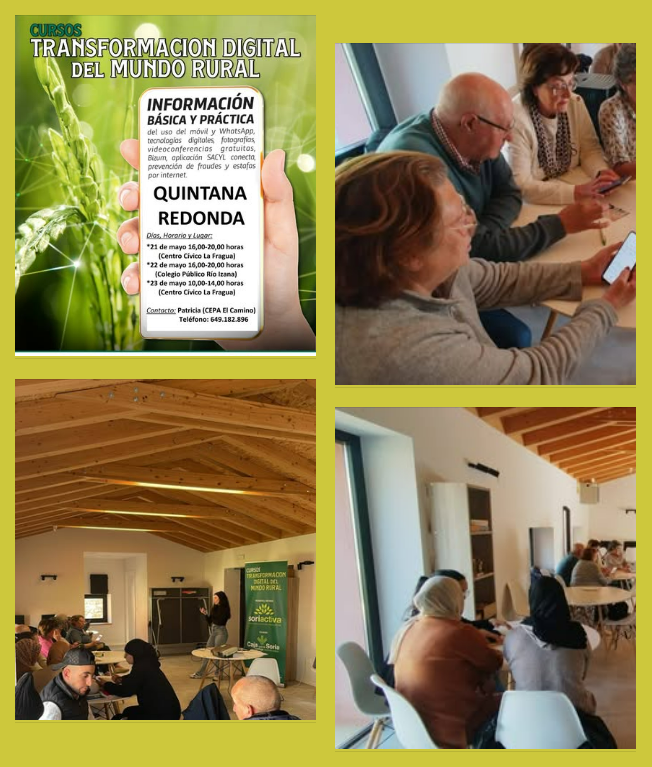 Transformación Digital Quintana Redonda